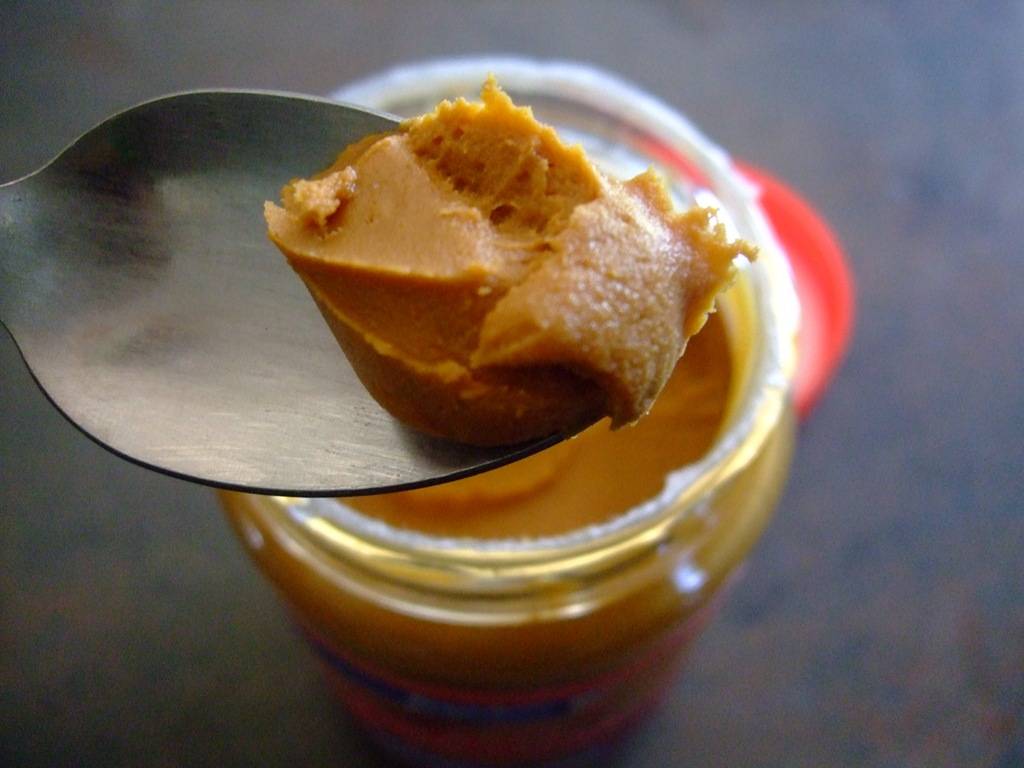 speculoos maken