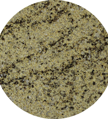 Van Beekum Specerijen Salt Pepper Garlic (SPG)